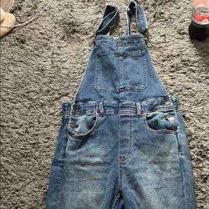 Free people Overalls
